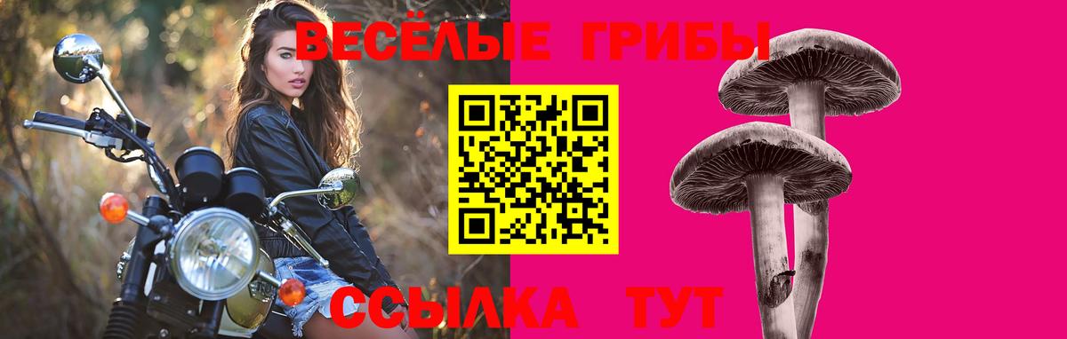 Псилоцибиновые грибы GOLDEN TEACHER  Вход с VPN  Галлюциногенные грибы MAGIC MUSHROOMS  Симферополь 